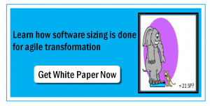 Software Sizing for Agile Transformation